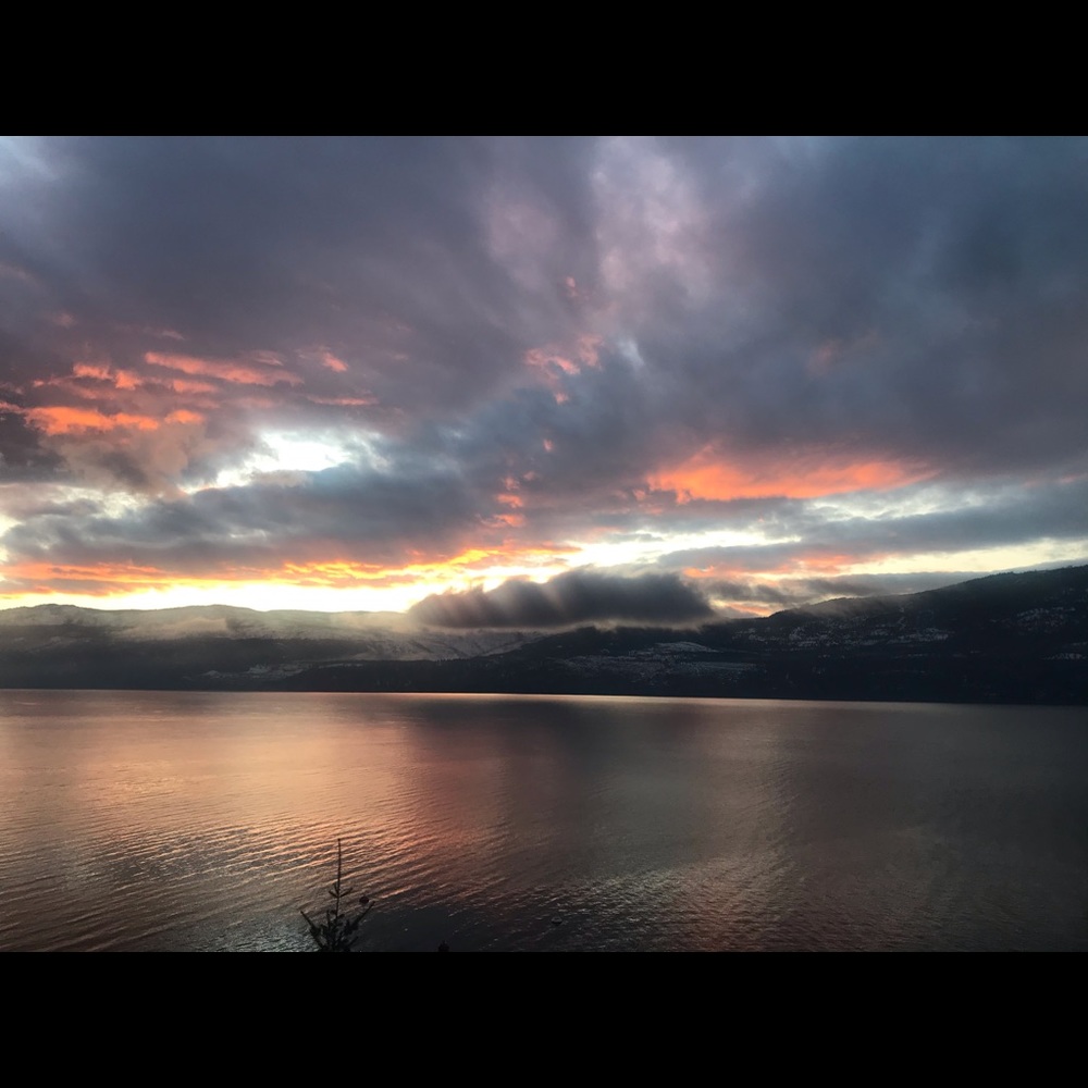 Meet your Posher, Christine